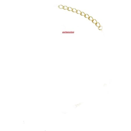 Ροζάριο Κολιέ Ασημένιο Επίχρυσο Με Αμέθυστο Extension