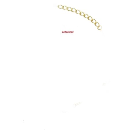 Κολιέ Ασημένιο Επίχρυσο “Άπειρο” Με Ζιργκόν Extension